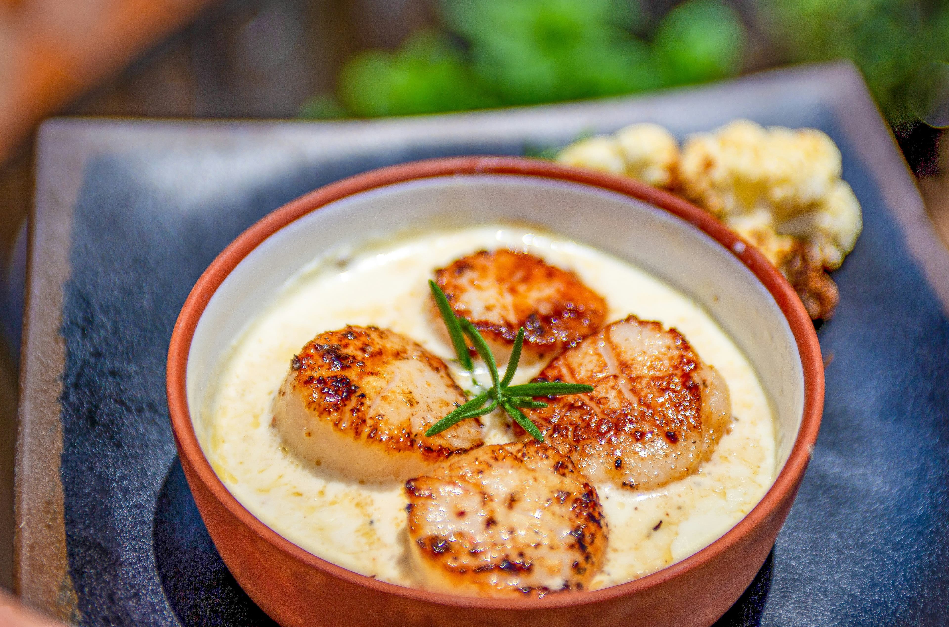Vieiras a la Plancha con Puré de Coliflor y Mantequilla de Alcaparras